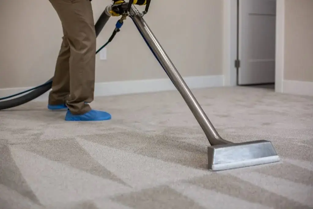 sutton carpet cleaning